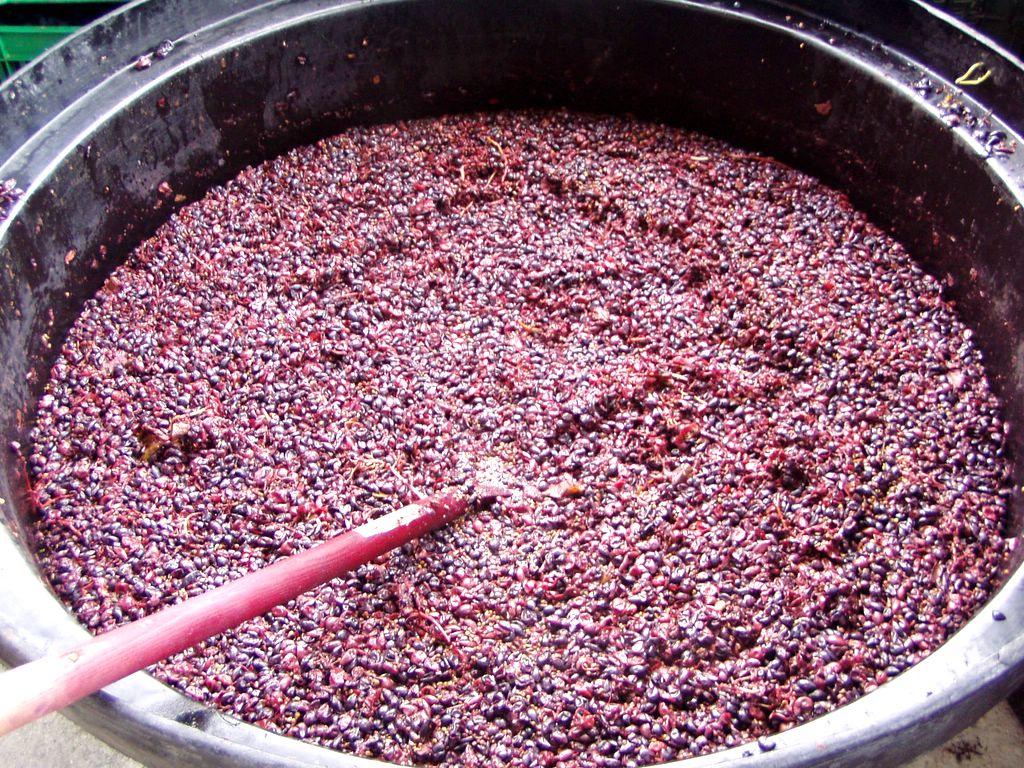 Как с винограда сделать брагу