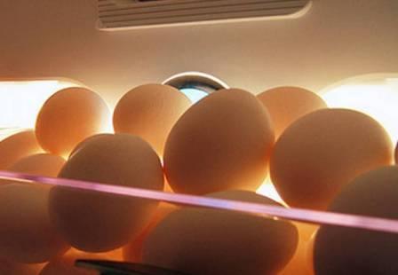 сколько хранятся яйца в холодильнике
