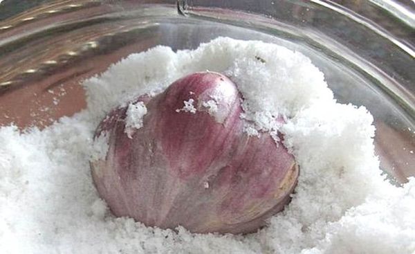 Хранение чеснока в кухонной соли