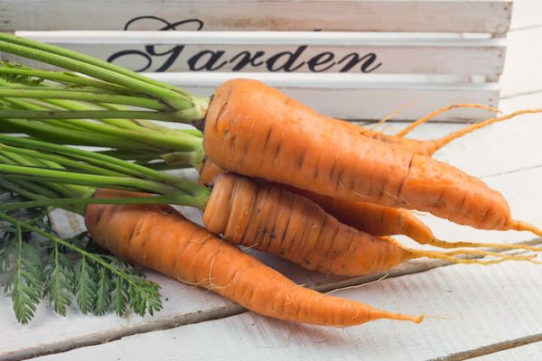 Как хранить морковь правильно, Хранение моркови зимой в погребе, подвале, квартире и дома