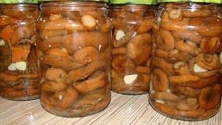 Как засолить грибы рыжики- Бабушкин рецепт