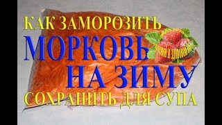 Морковь на зиму Как заморозить и сохранить заготовки супа Хранение в квартире замороженной моркови