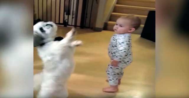 Малыш танцует с щенком