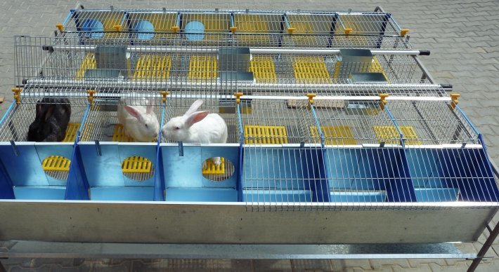 металлическая клетка для кроликов