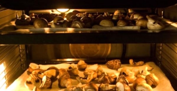 Как правильно в духовом шкафу сушить грибы?