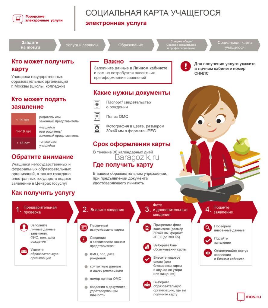 Как оформить ребенку социальную карту учащегося, и что она дает?