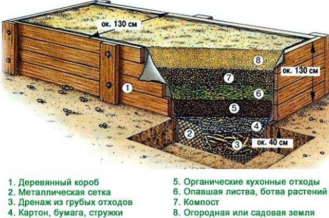 Как сделать грядки под клубнику: примеры и советы по обустройству