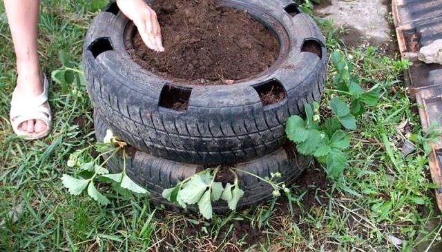 Как сделать грядки под клубнику: примеры и советы по обустройству