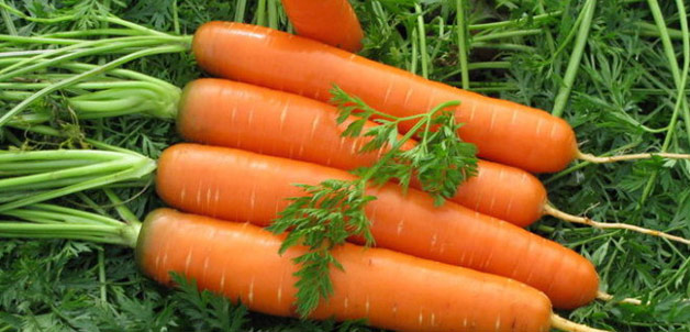 									Где хранить морковь в квартире								