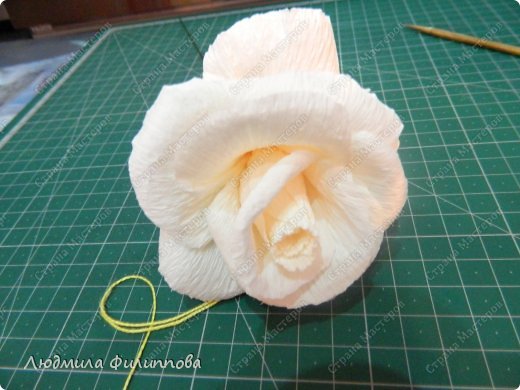 Как сделать розу из бумаги своими руками легко и поэтапно: схема с видео