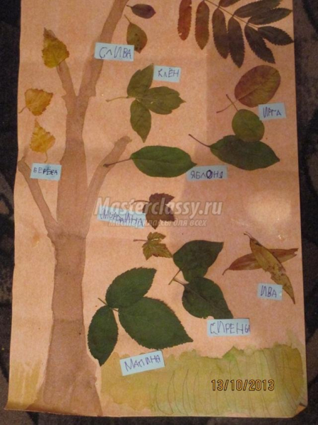 Гербарий из листьев своими руками для детского сада и в школу с фото в фото