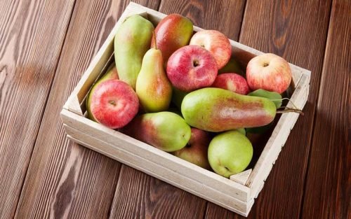 Яблоки и груши нельзя хранить в холодильнике