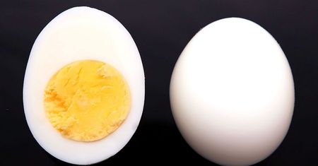 Срез вареного яйца