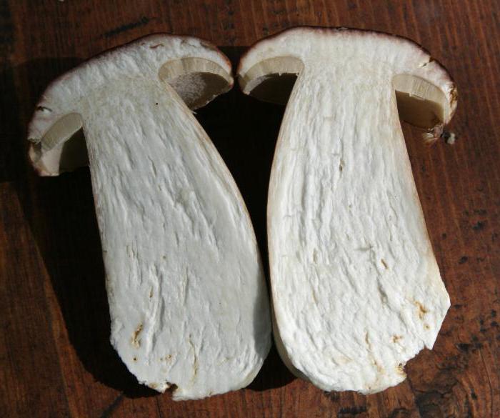 маринованные белые грибы рецепт 
