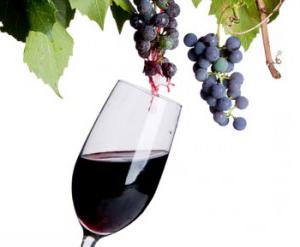 домашнее вино из синего винограда