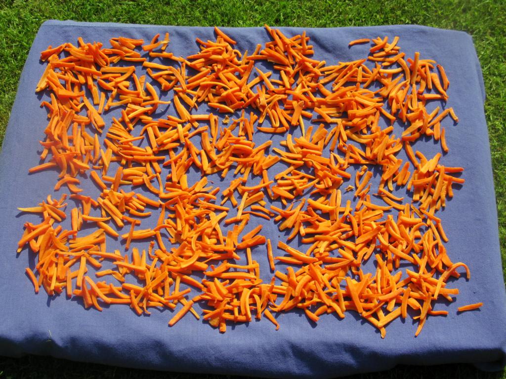 сушка моркови