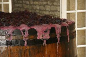 вино из винограда приготовление 