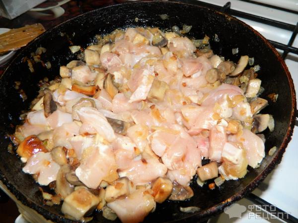 Курица с грибами в сметанном соусе фото