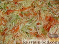салат на зиму из капусты с морковью