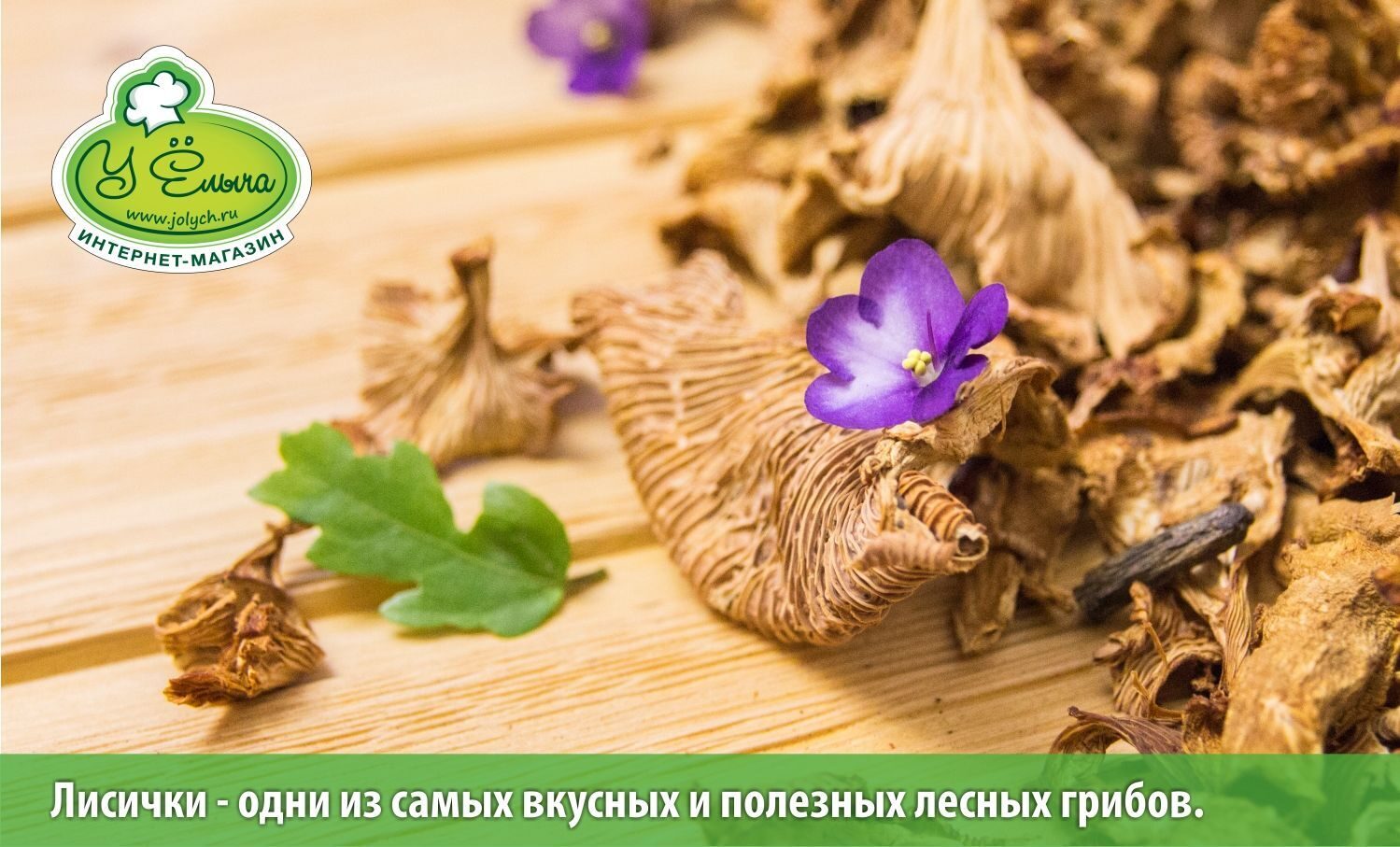 Лисички Ц один из самых полезных грибов средней полосы России
