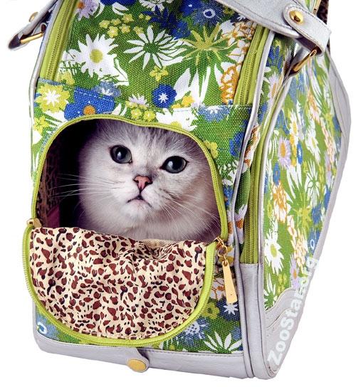 Шьём сумку для переноски кошки