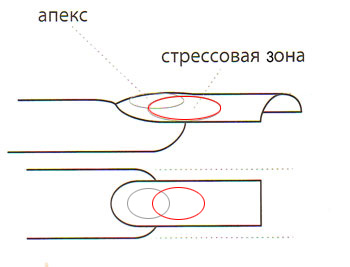 стрессовая зона ногтя