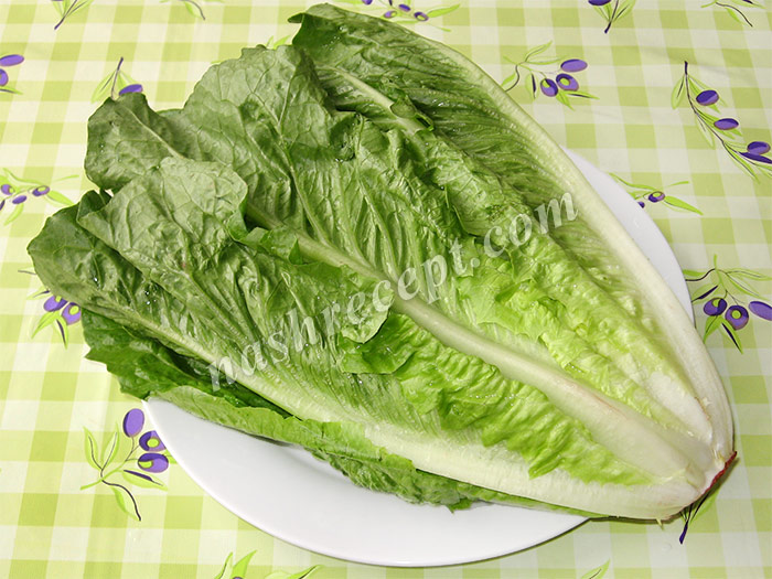 салат романо (римский салат) - salat romano (rimskiy salat)