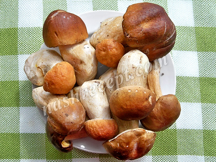 белые грибы для маринования - belye griby dlya marinovaniya