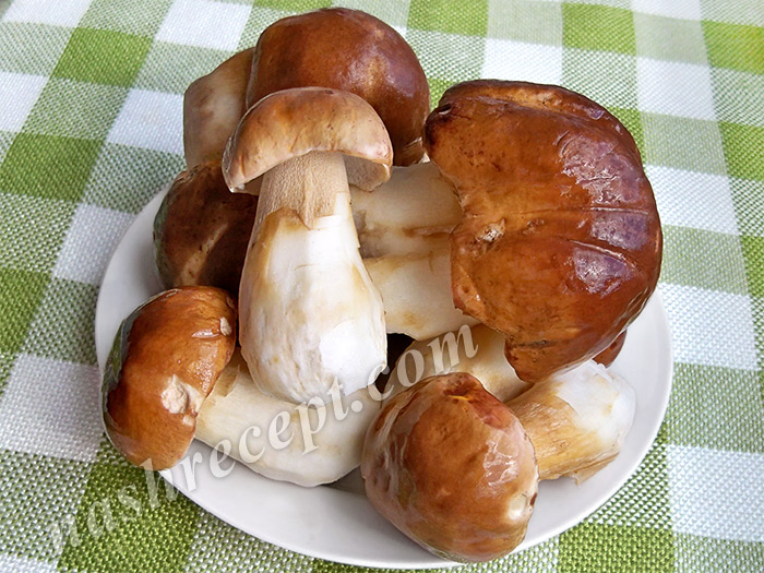 белые грибы моем и чистим - belye griby moem i chistim