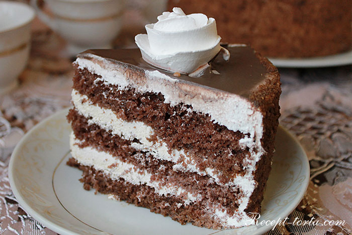Вкусный шоколадно-бисквитный торт в вразрезе