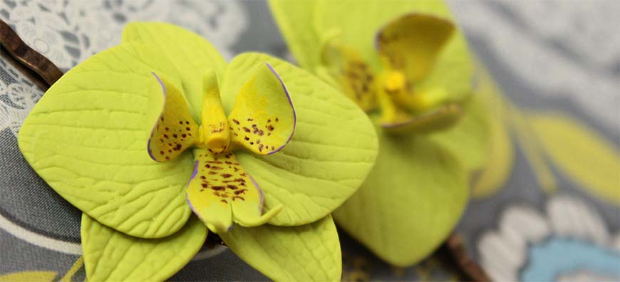 орхидея из полимерной глины