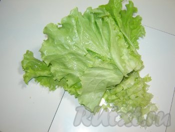 Добавляем зеленый салат 