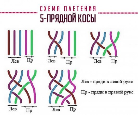 skhema pleteniya 5 pryadnoy kosy