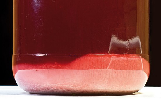 Домашнее вино из смородины - простые рецепты без дрожжей. Пошаговая инструкция приготовления вина из черной и красной смородины в домашних условиях