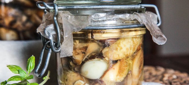 Белые грибы в масле на зиму – рецепт