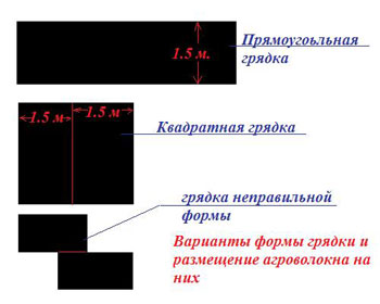 Устройство клубничной грядки