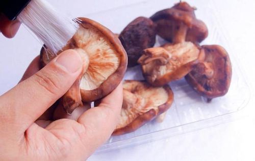 Чистка грибов и подготовка к сушке