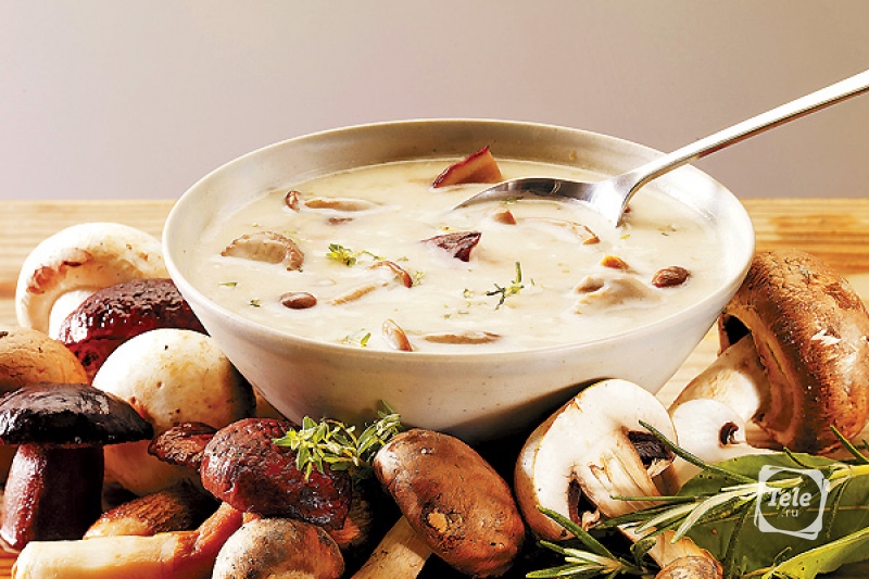 Крем-суп с лесными грибами 