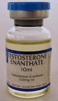тестостерон энантат купить