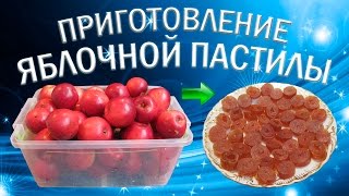 Как сделать пастилу из яблок в домашних условиях?