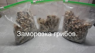 Хранение грибов / Как заморозить грибы на зиму