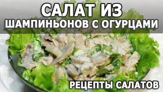 Рецепты салатов. Салат из шампиньонов с огурцами простой рецепт приготовления