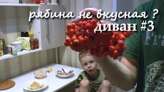 Заварил РЯБИНУ и пью без захара. что на ОБЕД и УЖИН? делаем ДИВАН #3