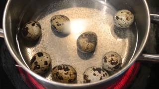 Как варить перепелиные яйца вкрутую (для ребёнка, для салатов, для маринования)
