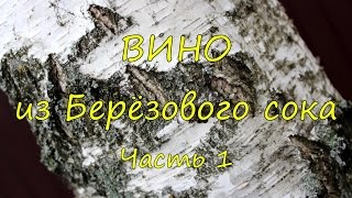 Вино из березового сока. Часть 1.