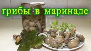 грибы в маринаде. на зиму.