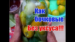 Зеленые помидоры холодного посола / Как бочковые /Заготовки на зиму / Без уксуса