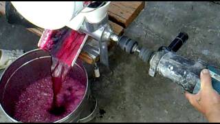 как сделать сок из винограда быстро
