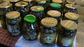 Маринованные опята грибы / Marinated mushrooms honey agarics
