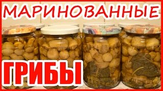 Маринованные грибы рецепты приготовления на зиму видео рецепты